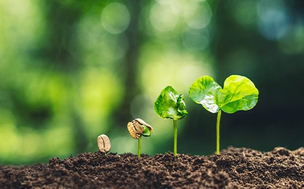 環境に配慮した印刷技術への取り組み